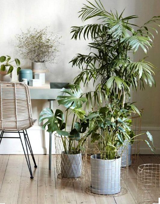 Tendencias_Decoracion16