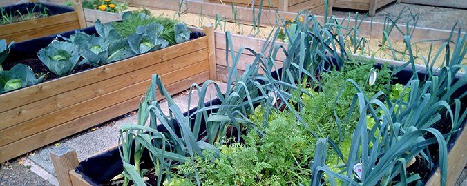 Cómo crear un huerto urbano en la terraza de tu casa