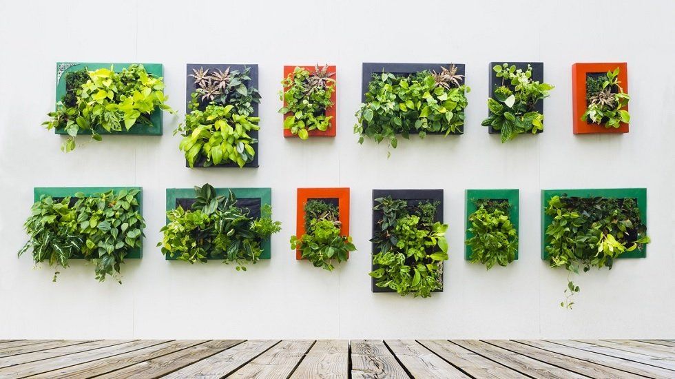 Decoración de paredes, todo lo que necesitas saber