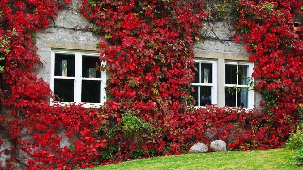 5 casas acogedoras para escapar este otoño