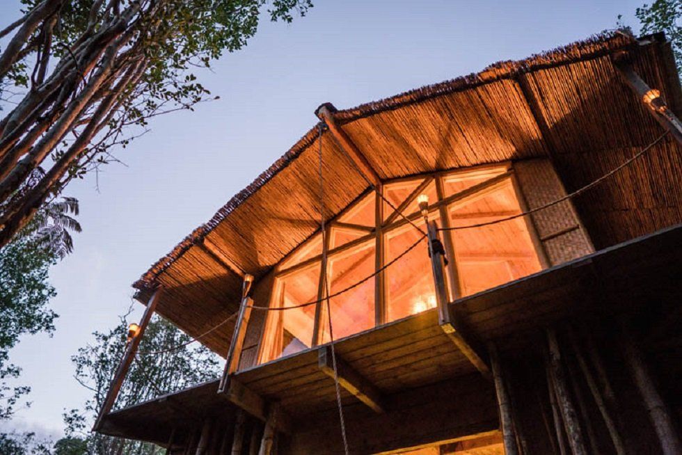 Una casa en un árbol, pero de verdad y para alquilar - Fotocasa Life - Casas curiosas - Curiosidades - Que los niños norteamericanos sueñan con tener una casa en un árbol es un clásico. Hoy te mostramos una casa en el árbol de verdad.