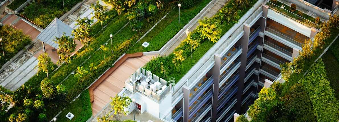 Cómo son los techos de las casas ecológicas y qué beneficios aportan