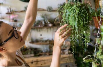 5 plantas purificadoras del aire de nuestra casa