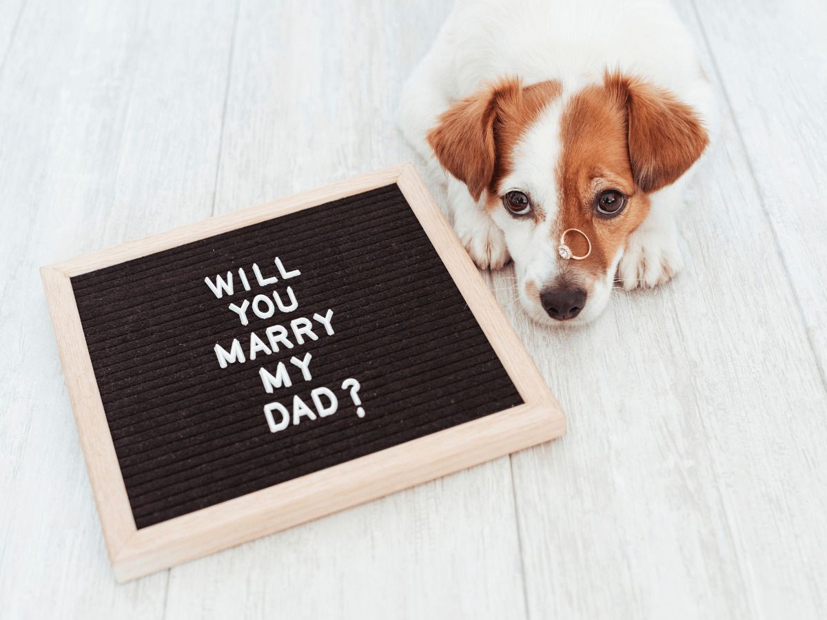 pedir matrimonio en casa decoracion