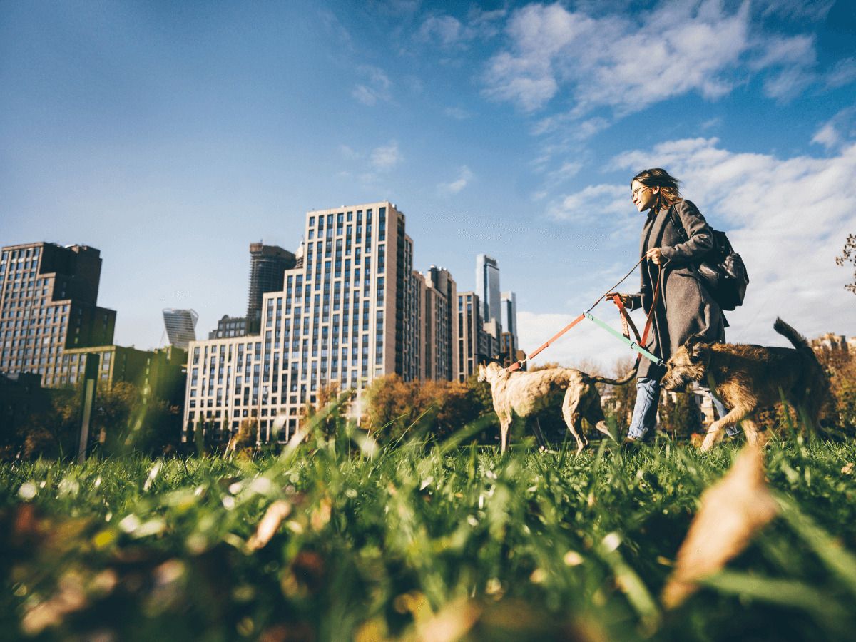 guia de barrios fotocasa