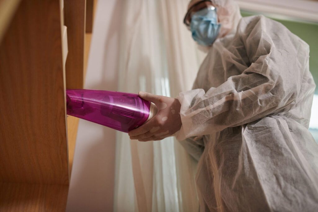 ¿Quién es responsable de tratar una infestación de chinches en un apartamento alquilado, el propietario o el inquilino?